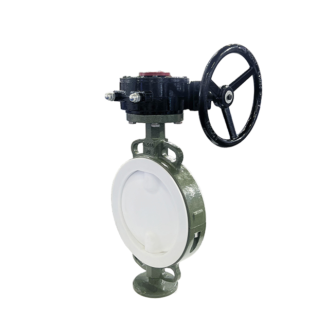 对夹衬氟蝶阀衬F